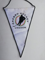/album/orebro/orebro-hockey-ungdom-24-jpg/